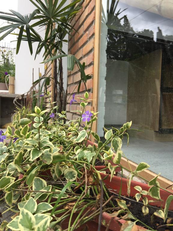 "Bambu Sierra" Cozzy Ecological Lofts Daire Cuenca Dış mekan fotoğraf